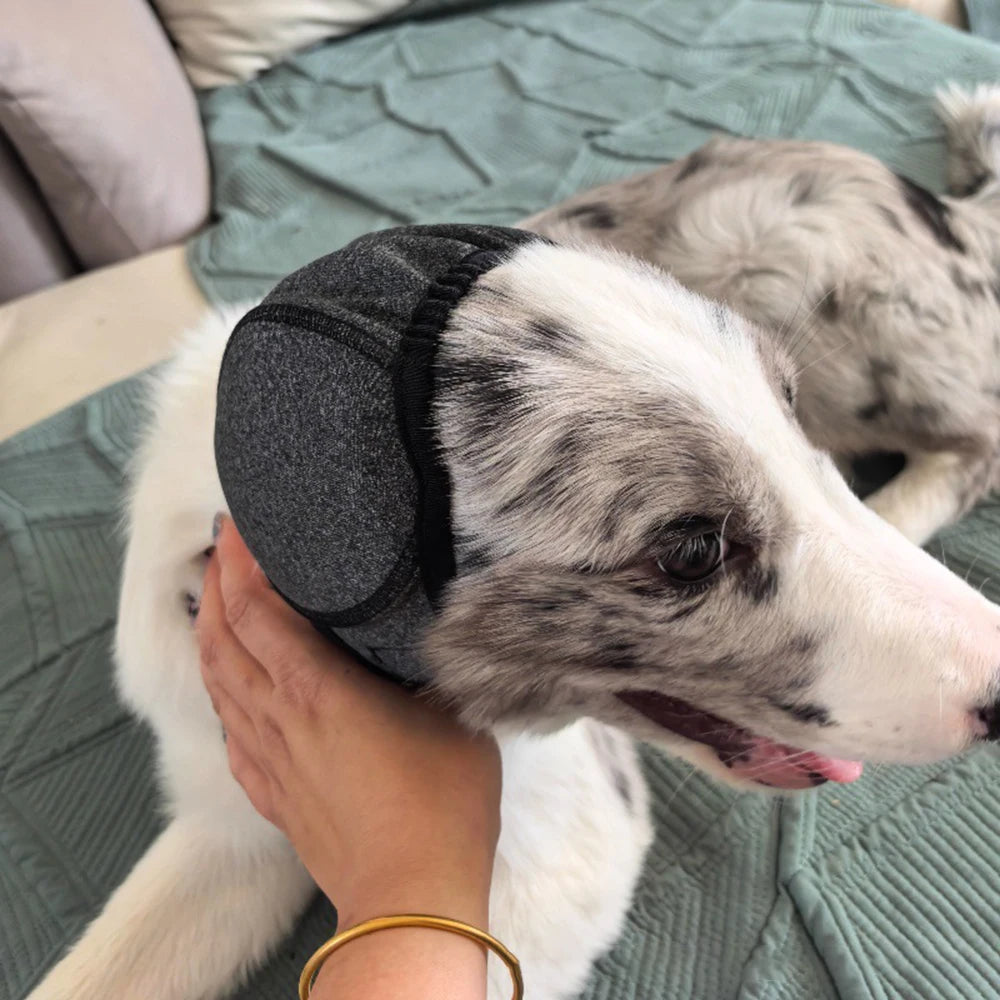 Réduction du bruit de chien, isolation acoustique, cache-oreilles, couvre-chef imperméable de natation, couvre-chef apaisant émotionnel pour chien