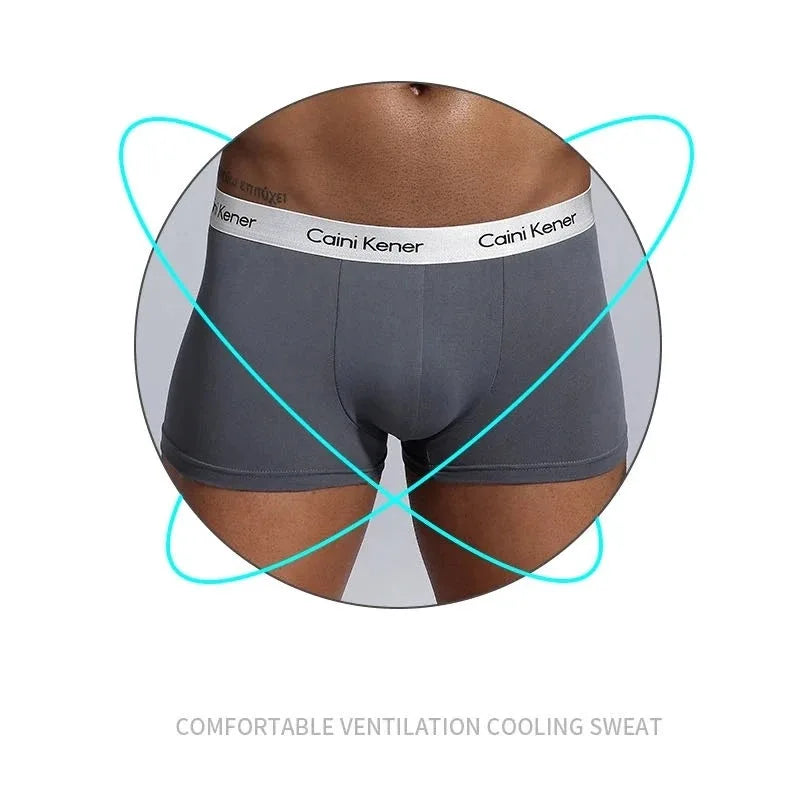 4Pcs/Lot Sous-vêtements pour hommes Boxer Mode Sexy Sous-vêtements Antibactériens Doux Confortables Sous-vêtements Marque Boxer Shorts Culottes pour hommes