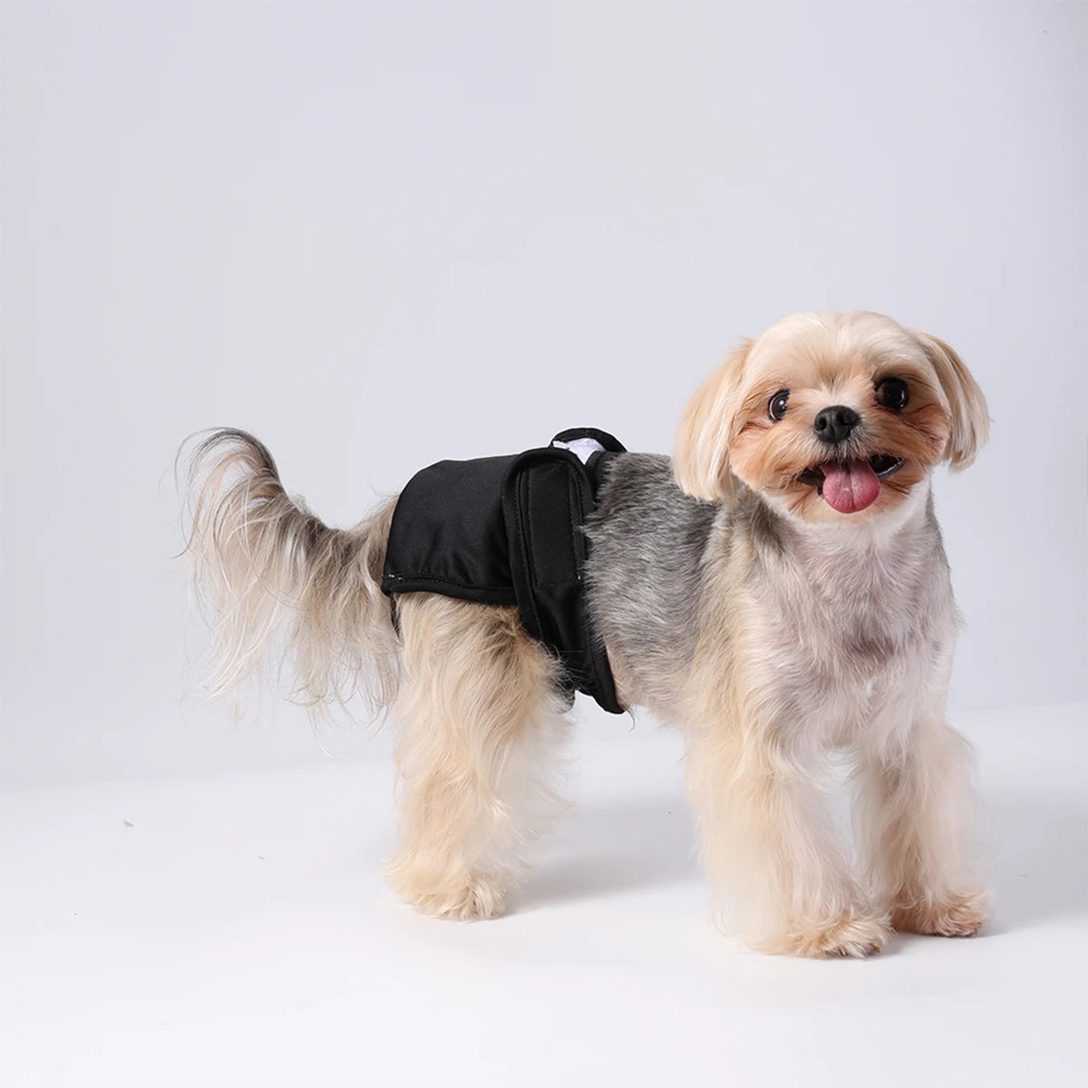 Couche lavable pour chien féminin Pantalon physiologique réglable pour animaux de compagnie Culottes réutilisables étanches pour animaux de compagnie Couches pour petits chiens moyens grands