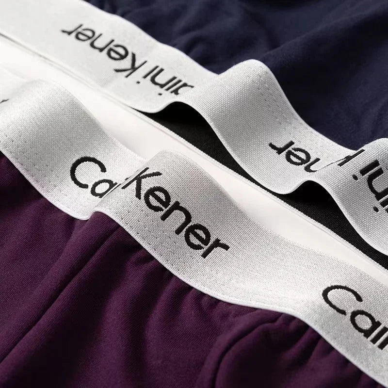 4Pcs/Lot Sous-vêtements pour hommes Boxer Mode Sexy Sous-vêtements Antibactériens Doux Confortables Sous-vêtements Marque Boxer Shorts Culottes pour hommes