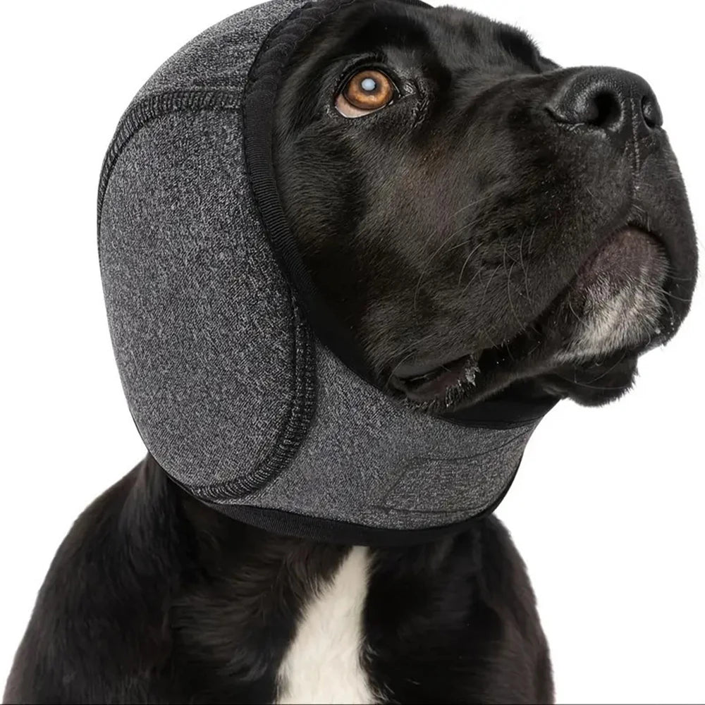 Réduction du bruit de chien, isolation acoustique, cache-oreilles, couvre-chef imperméable de natation, couvre-chef apaisant émotionnel pour chien